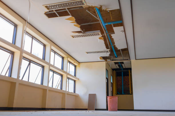 Best Professional water damage repair  in Camp Swift, TX