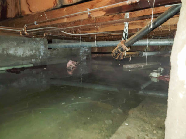 Best Ceiling water damage repair  in Camp Swift, TX