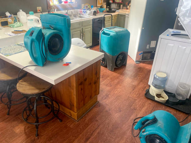 Reliable Camp Swift, TX Water damage restoration Solutions