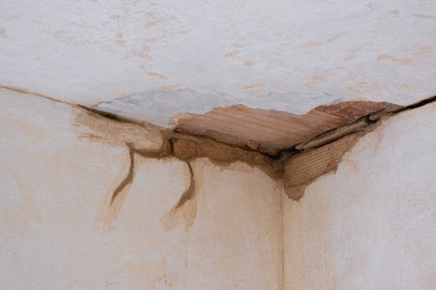 Water damage restoration mold remediation in Camp Swift, TX