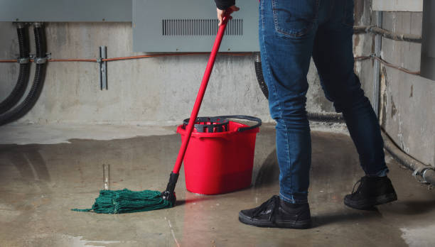 Best Sewage cleanup and water damage restoration  in Camp Swift, TX