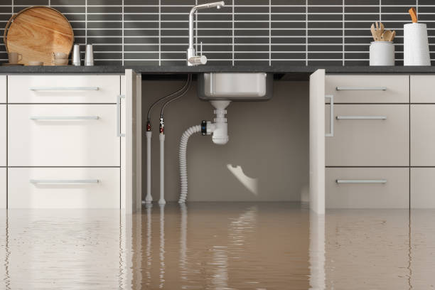 Best Fire Damage Restoration  in Camp Swift, TX