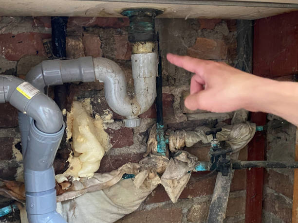 Best Water damage restoration experts  in Camp Swift, TX